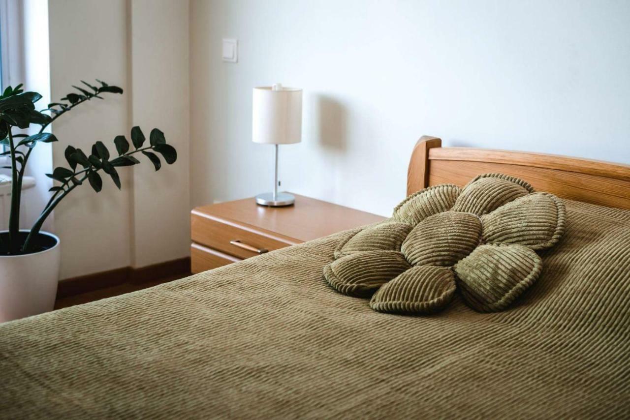 New Apartament Very Close To The City Centre Аеропорт Вільнюс Екстер'єр фото